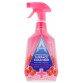 ASTONISH ANTIBACTERIAL POMEGRANATE & RASPBERRY antibakterinis paviršių valikiklis 750 ml