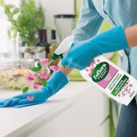 ZOFLORA SWEET PEA universalus antibakterinis paviršių valiklis 800 ml