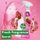 DETTOL POMEGRANATE LIME universalus valiklis 1 l