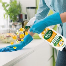ZOFLORA SPRINGTIME purškiamas universalus paviršių valiklis/dezinfekantas 800 ml