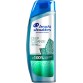 HEAD & SHOULDERS PEPPERMINT plaukų šampūnas 300 ml 