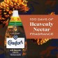 COMFORT HEAVENLY NECTAR super koncentratas audinių minkštiklis 68 skalavimai