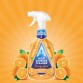 ASTONISH ORANGE GROVE daugiafunkcinis paviršių valiklis 750 ml