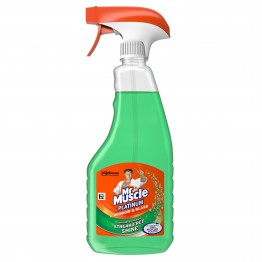 MR MUSCLE purškiamas langų ir stiklų valiklis 750 ml