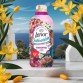 LENOR OUTDOORABLES PORTOFINO koncentruotas audinių minkštiklis 966 ml