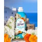 LENOR AMMORBIDENTE CONCENTRATO POLIGNANO koncentruotas audinių minkštiklis 1,82 l