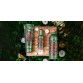 TESORI D´ORIENTE FOREST RITUAL kvepalai moterims 100 ml