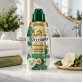 COCCOLINO OASI SEGRETA koncentruotas audinių minkštiklis 750 ml