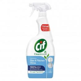 VISS universalus langų ir paviršių valiklis 750 ml