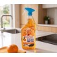 MEISTER PROPER KUCHENREINIGER ORANGE virtuvės valymo priemonė su apelsinų aromatu 800 ml