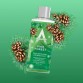 ASTONISH PINE FOREST koncentruotas dezinfekantas 300 ml