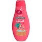THE FRUIT COMPANY SHOWER GEL WATERMELON dušo gelis 600 ml